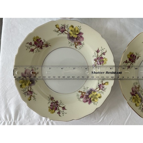 4 Apple Blossom (Cream Background) by BLACK KNIGHT Salad Plate Made in Germany - Picture 8 of 8